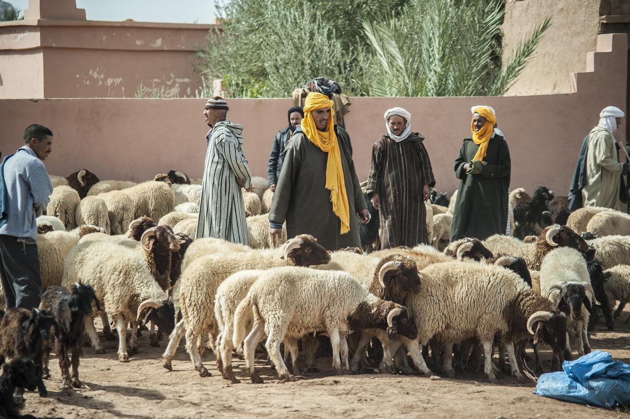 Auberge Hostel Traditionnel تنغير المظهر الخارجي الصورة